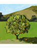 Mandarine Tree, Art Print